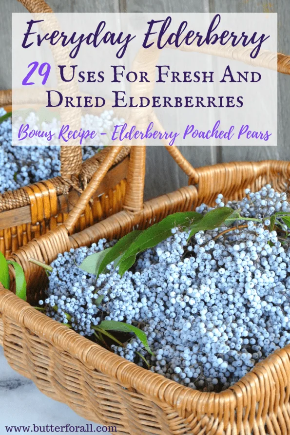 Baskets full of ripe elderberries with text overlay.