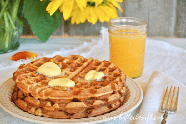 A stacked plate of sourdough and sprouted whole wheat waffles makes a quick, nourished breakfast!