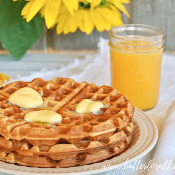 A stacked plate of sourdough and sprouted whole wheat waffles makes a quick, nourished breakfast!