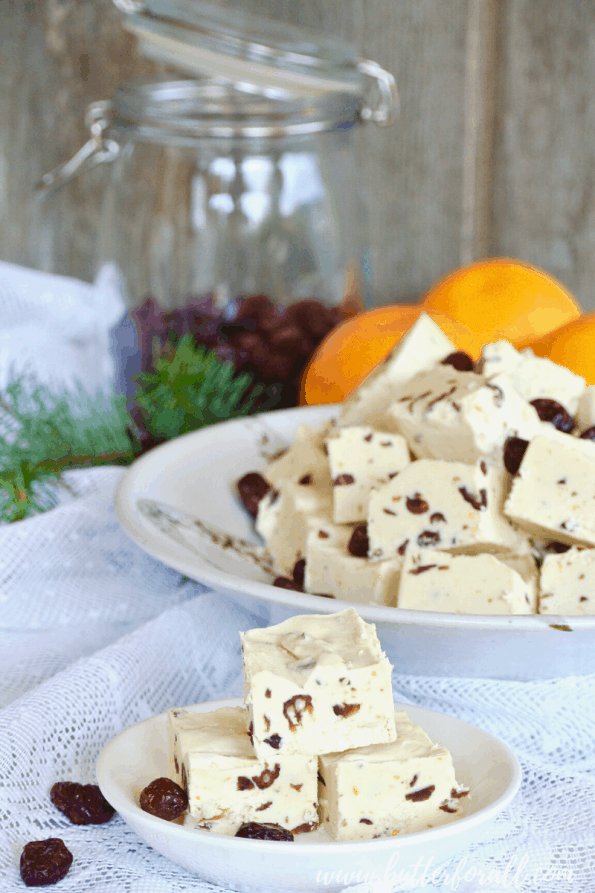 Dishes of honey-sweetened coconut butter fudge studded with dried cranberries and fresh orange zest.