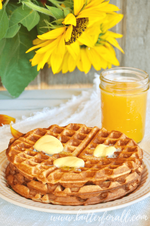 A stack of nourishing sourdough waffles.