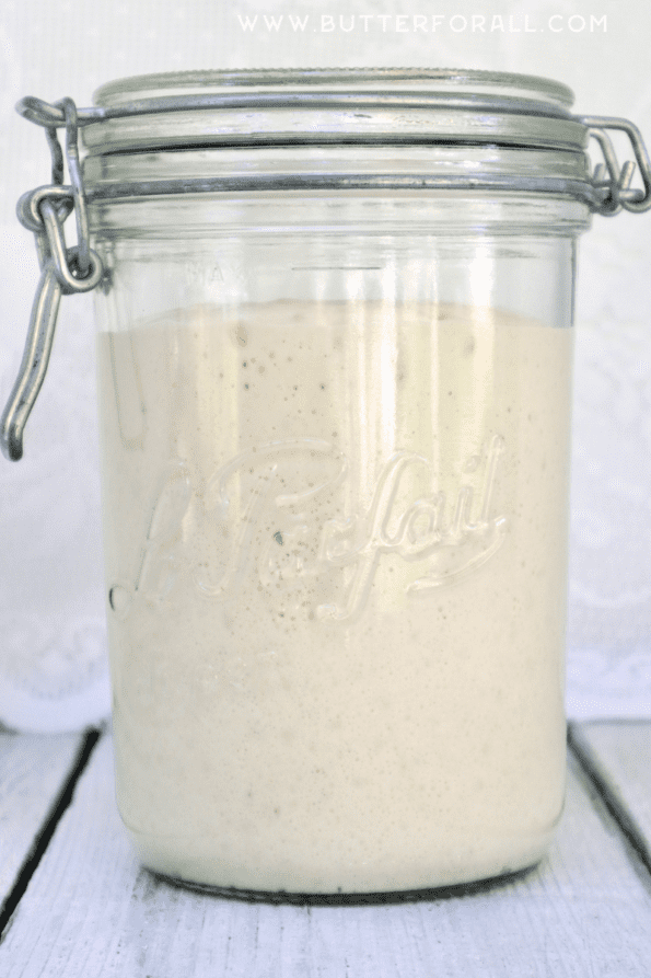 A jar with doubled sourdough starter.
