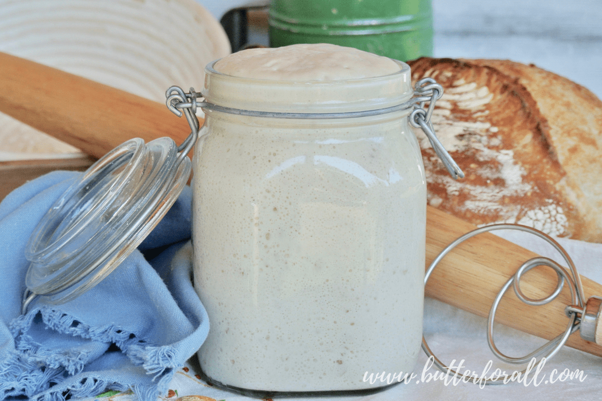 A perfectly peaked sourdough starter makes baking successful. #realfood #sourdough #Starter #masamadre #Fermentedfoods #properlypreparedgrains #nourishingtraditions #wisetraditions