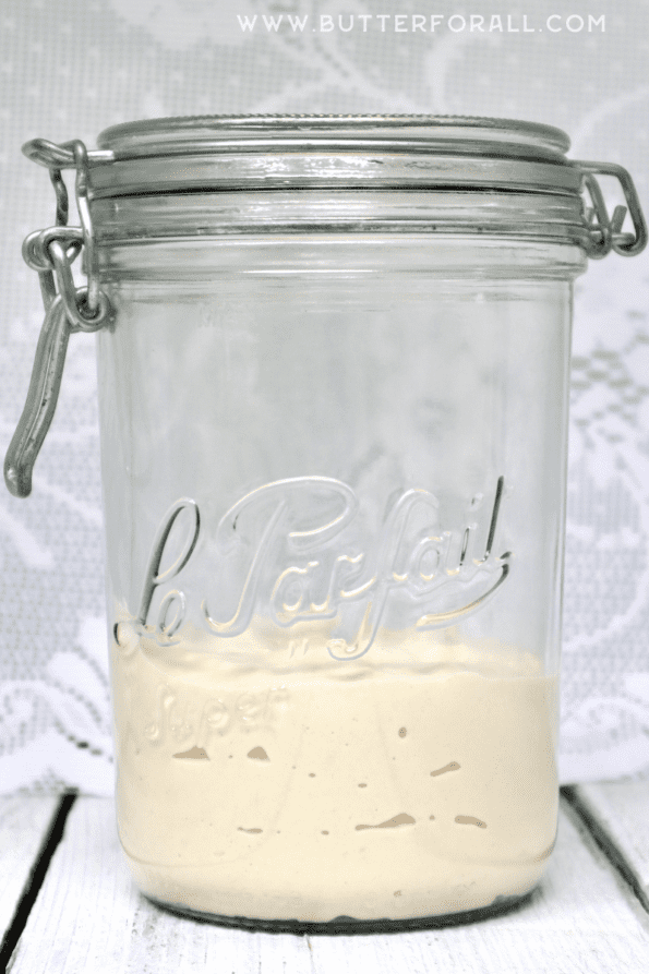 A jar with freshly fed and unfermented sourdough starter.