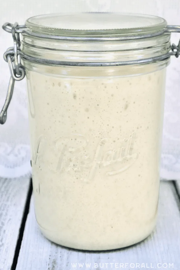 A tall broad jar with 400 grams of sourdough starter.