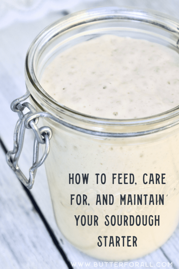 A locking-lid jar sits open to expose a bubbly sourdough starter within. 