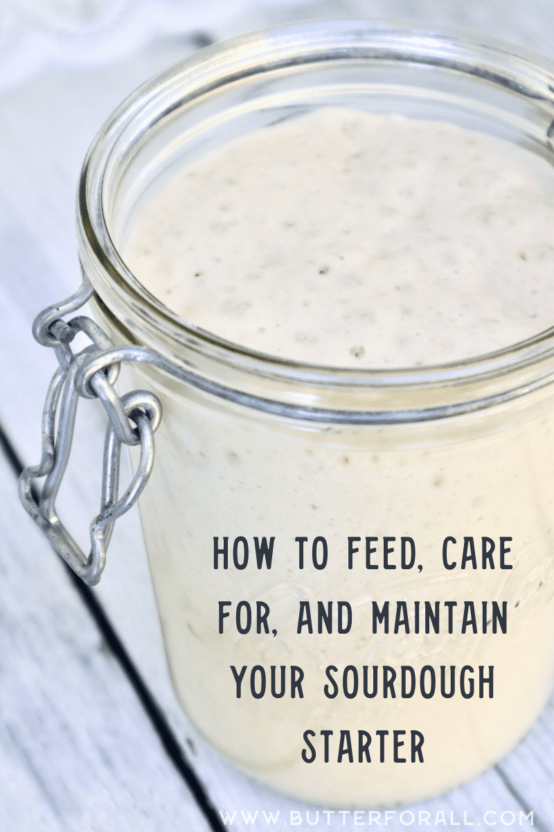 How To Feed, Care for, and Maintain Your Sourdough Starter • Butter For All