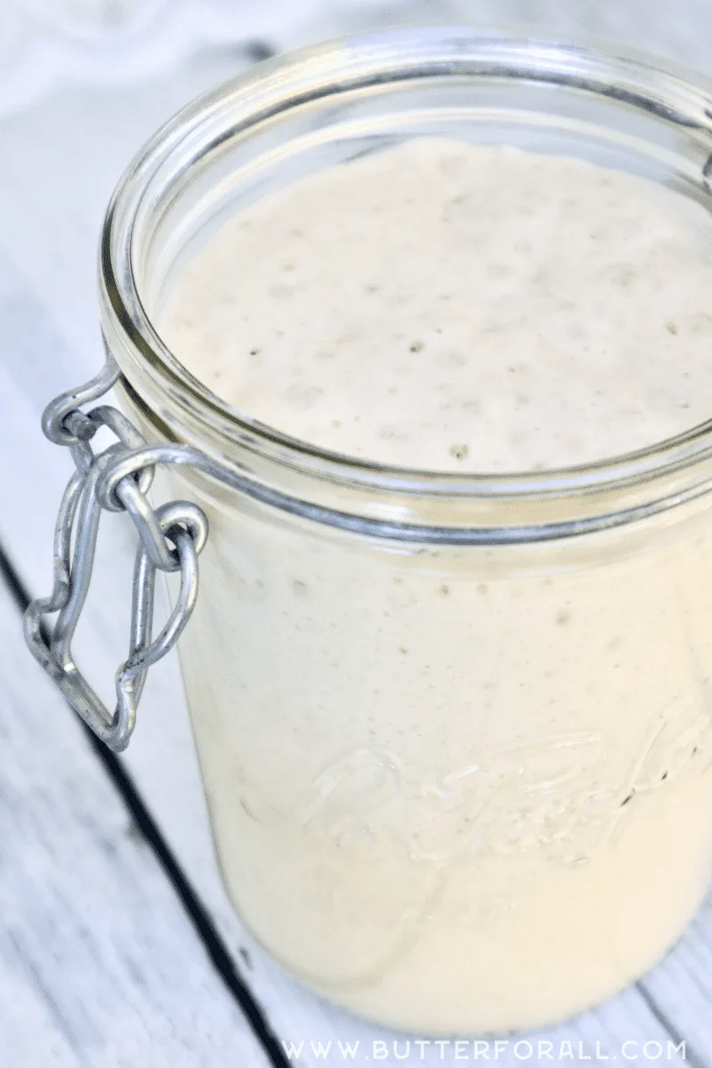 A jar of bubbly and active sourdough starter.