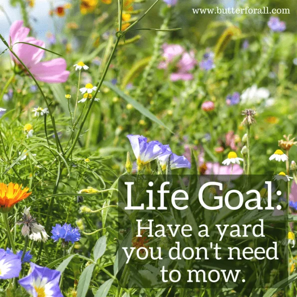 Living wild! #homesteading #wildflowers #garden #meme #butterforall