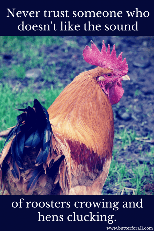Farm Life is the best life! #chickens #roosters #homesteading #garden #Farmish #farm #meme #butterforall