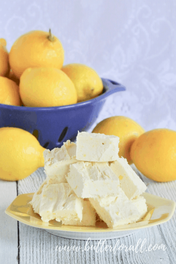 A plate full of healthy, honey-sweetened, raw coconut butter fudge.