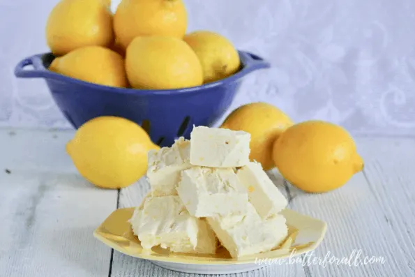 A plate of tart and tangy. light and fluffy, raw, honey sweetened, coconut butter fudge.