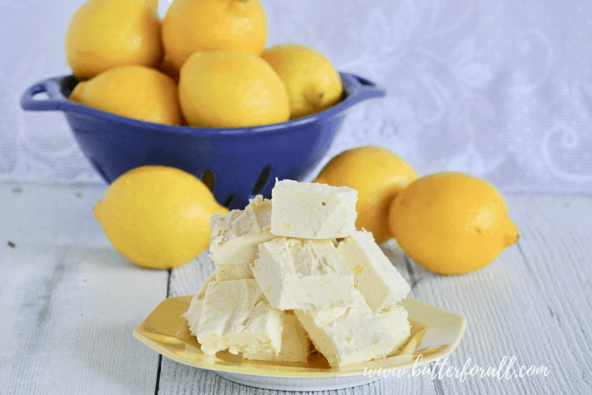 A plate of tart and tangy. light and fluffy, raw, honey sweetened, coconut butter fudge.