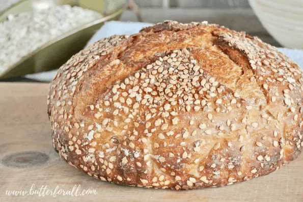 A big loaf of sweet and soft honey oat sourdough bread perfectly browned from the oven.