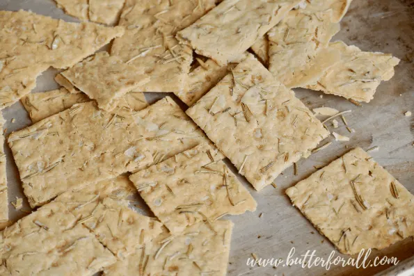 A pan of sourdough discard crackers fresh from the oven.