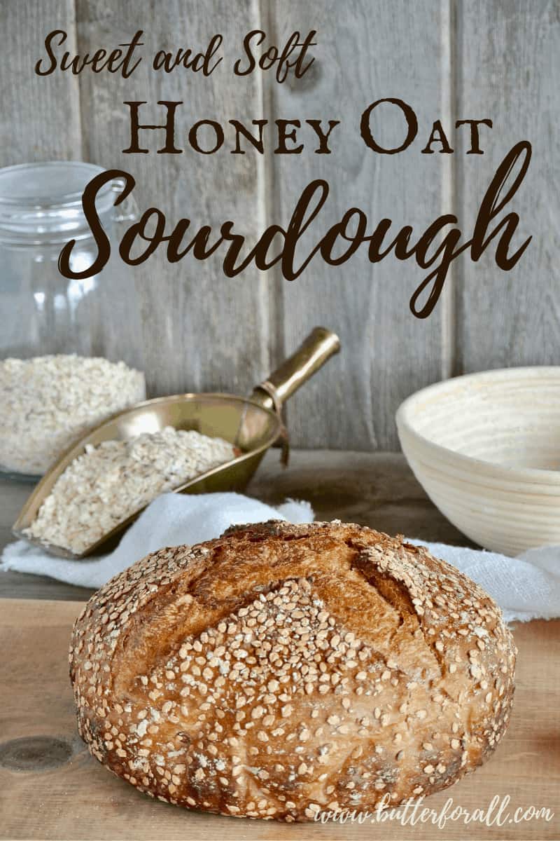 This sweet and soft Honey Oat Sourdough is hearty and delicious. This real sourdough bread makes great chewy toast or filling French toast! #realfood #fermented #rolledoats #heirloomgrains #honeysweetened #organic #nourishing #wisetraditions #nourishingtraditions