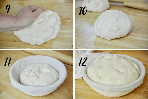 Cheesy Sourdough Pizza Bread Steps 9-12. Showing gentle kneading, a tight dough ball, dough in proofing basket, and doubled dough ready for baking. 