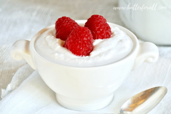 A bowl full of rich and creamy coconut yogurt.