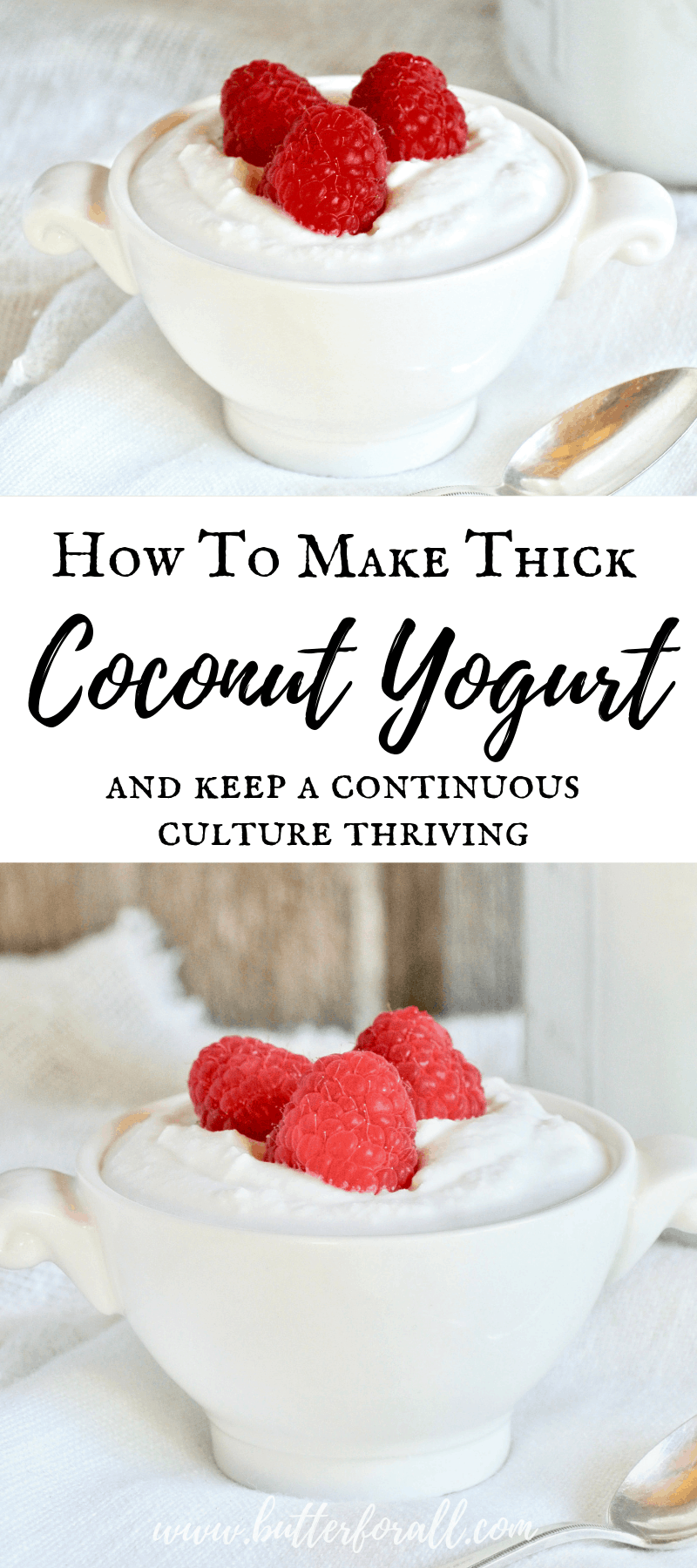 How To Make Thick Coconut Yogurt and Keep a Continuous Culture Thriving
