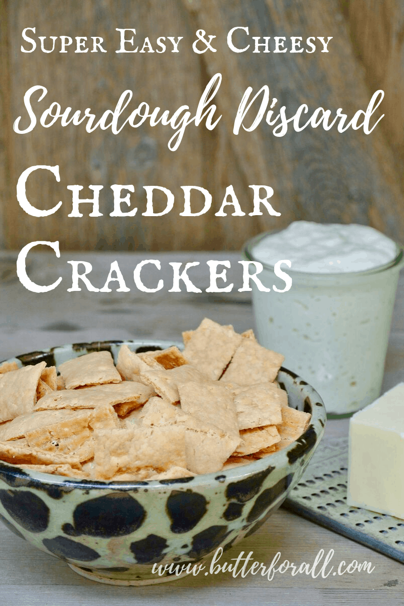 These easy four ingredient sourdough cheddar crackers are the perfect answer to your snack cravings! Whip up a batch in as little as one hour, no extra fermenting required! #sourdough #healyourgut #realfood #cheese #crackers #healthysnacks #nourishing #wisetraditions #healthyfats #butter