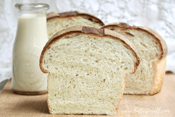 This recipe makes the softest and most delicious Sourdough Milk Bread. The dough is hydrated with fresh milk and has just a touch of sweetness from real honey. If you are looking for a 100% sourdough milk bread that is sweet and extra soft, this recipe is for you! #milk #honey #sourdough #milkbread #milkdough #dough #starter #fermentation #wildyeast #realbread #homemade #white #sandwich #rawmilk #rawhoney #soft #tender #bread