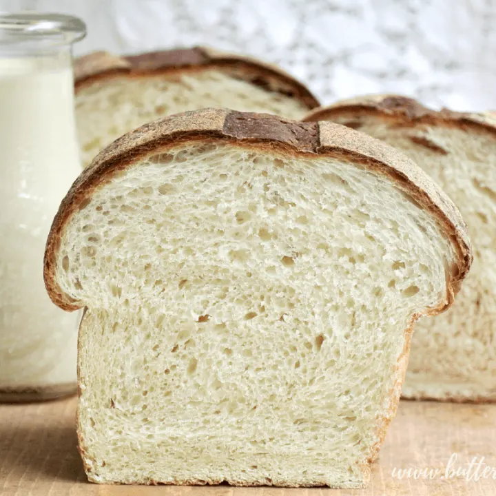 This recipe makes the softest and most delicious Sourdough Milk Bread. The dough is hydrated with fresh milk and has just a touch of sweetness from real honey. If you are looking for a 100% sourdough milk bread that is sweet and extra soft, this recipe is for you! #milk #honey #sourdough #milkbread #milkdough #dough #starter #fermentation #wildyeast #realbread #homemade #white #sandwich #rawmilk #rawhoney #soft #tender #bread