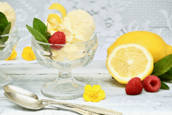 A dish of cultured lemon ice cream topped with fresh raspberry, mint, and lemon zest.