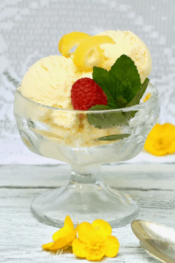A bowl of cultured raw lemon ice cream.