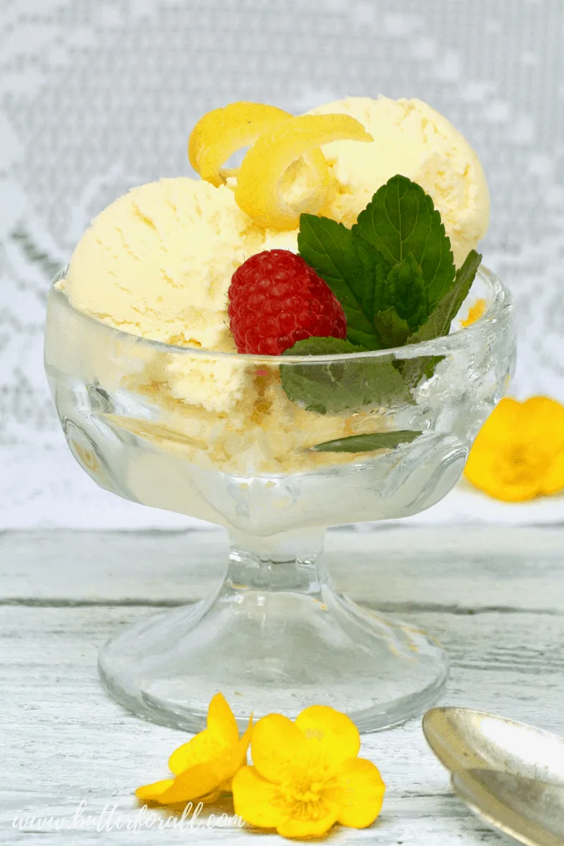 This sweet and tart Lemon Ice Cream is made with only three real food ingredients! Cultured Raw Dairy, Honey, and Real Lemon! Cultured Raw lemon Ice Cream is the perfect way to cool down while boosting probiotics and staying healthy! #realfood #rawmilk #rawcream #rawhoney #organic #lemon #sweetandtart #cultureddairy #healyourgut #probiotics #summer #icecream #easy #simple #cultured #dessert #honey #refinedsugarfree #wapf #nourishingtraditions #wisetraditions