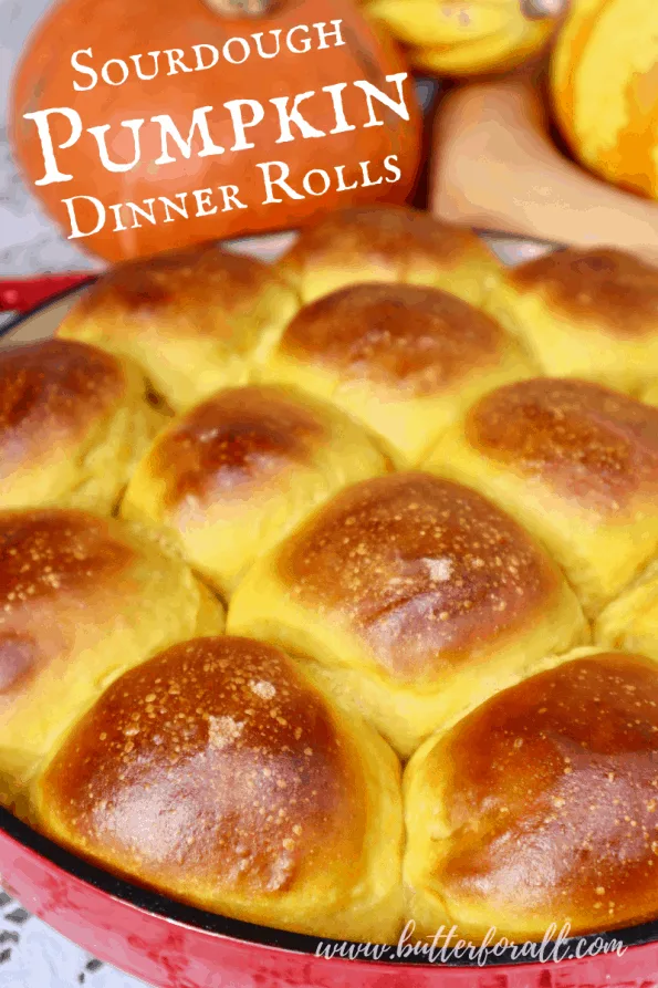 Pinterest Image showing a pan of golden-brown pumpkin rolls, with title text.