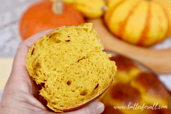 A soft sourdough pumpkin roll cut in half to show the light and airy crumb of the bread!