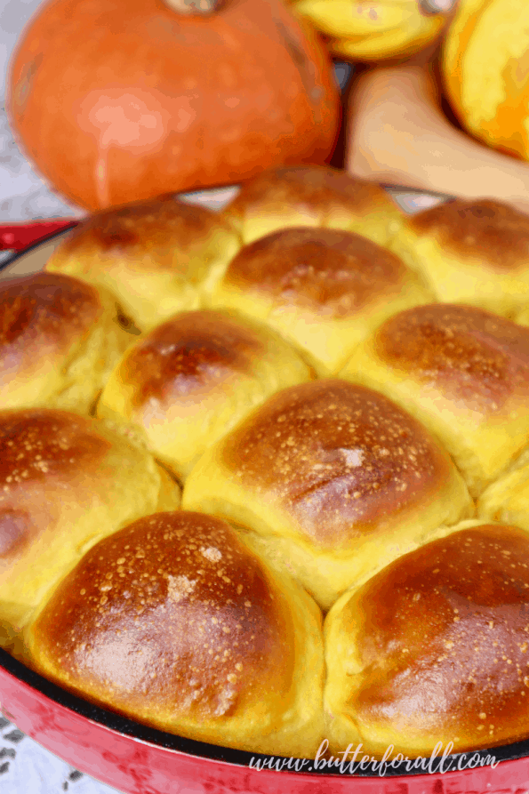 A large pan of puffy, golden-brown sourdough pumpkin rolls.