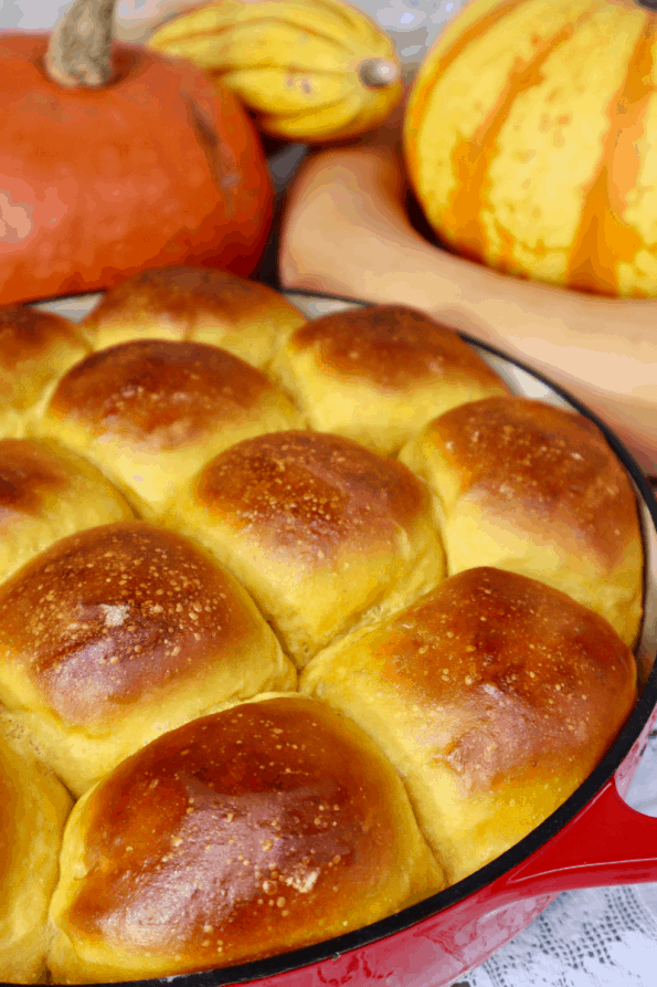 A large pan of puffy, golden-brown sourdough pumpkin rolls.