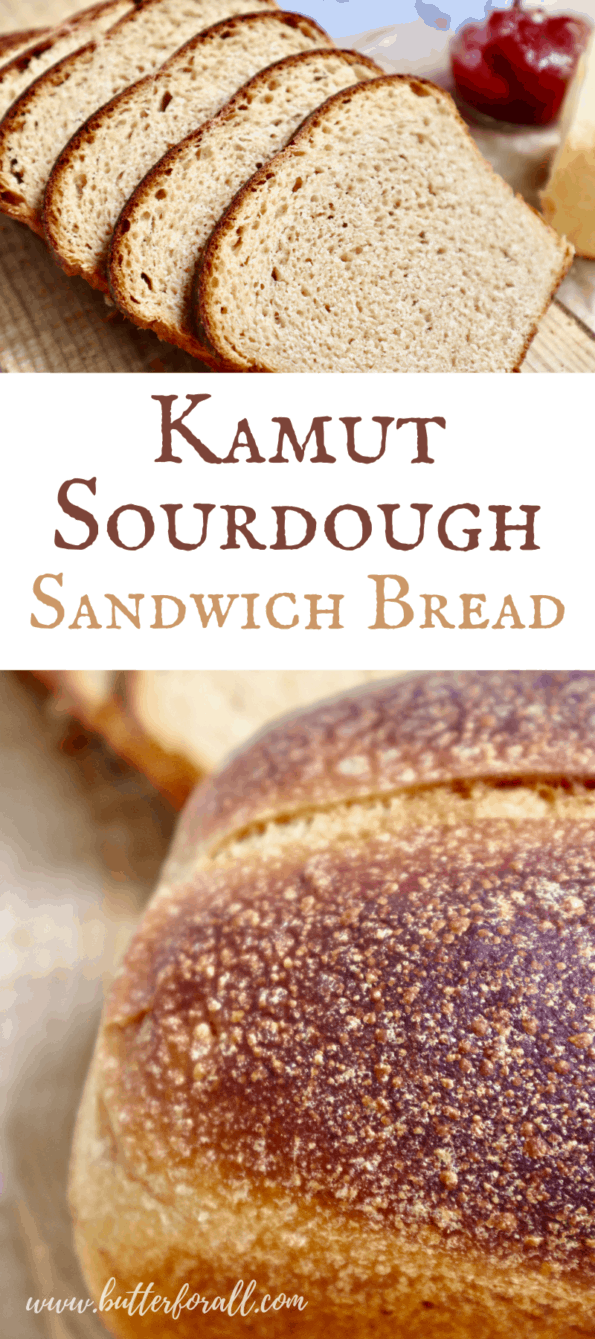 Kamut sourdough sandwich bread slices and loaves with text overlay.