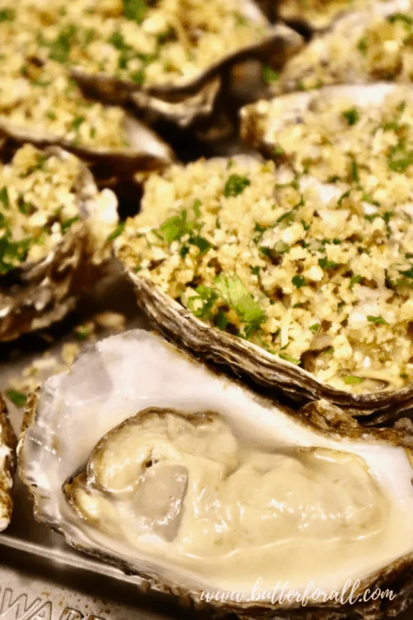 Fresh raw oysters aligned on a baking sheet with sourdough breadcrumb topping.