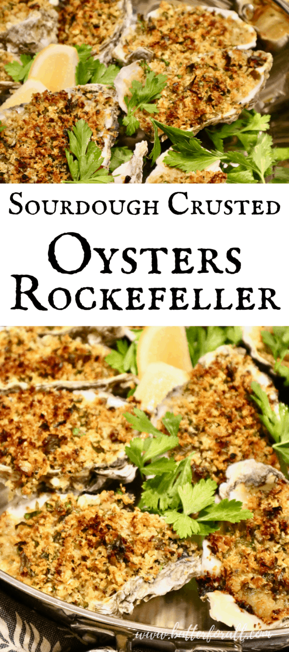 Fresh baked oysters topped with golden-brown sourdough breadcrumbs.