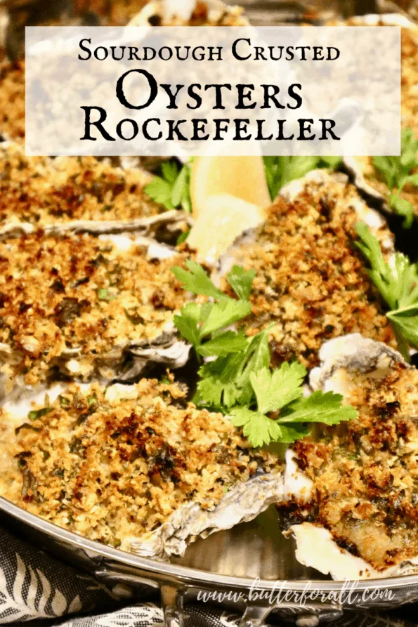 Freshly baked oysters with golden-brown sourdough breadcrumb topping.