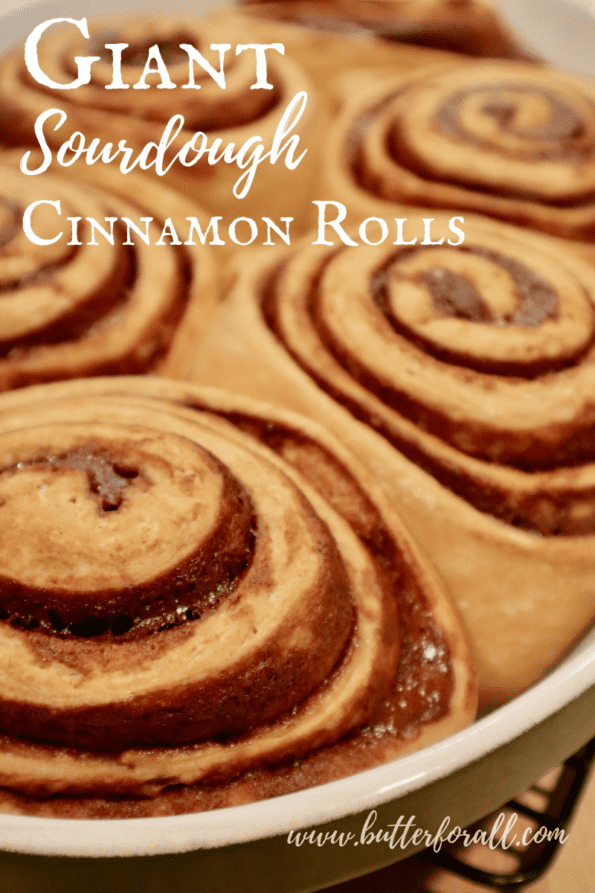 Sourdough cinnamon roll pin image.