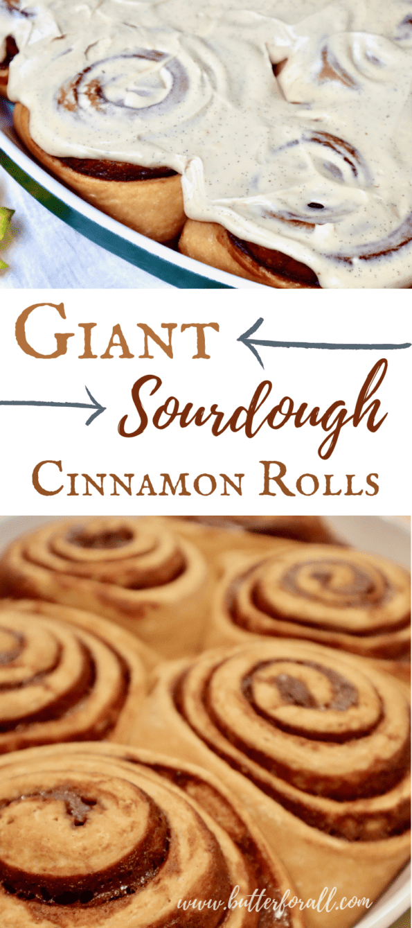 Giant Sourdough Cinnamon Roll pin image. 