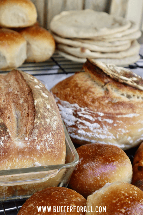 Sourdough sandwich loaf, buns, and pita bread. 