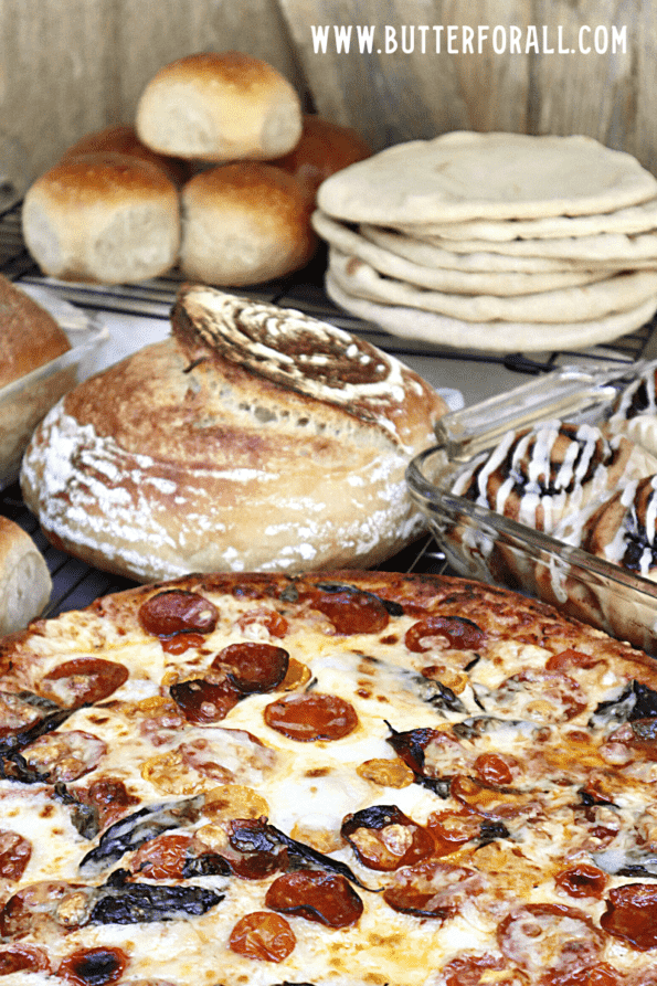 Multiple baked goods made from the sourdough master recipe. 