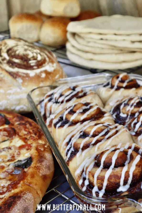 Sourdough cinnamon rolls, pizza, pita, buns, and a boule.