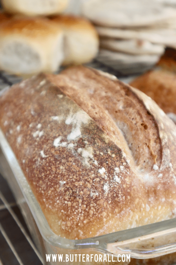 A beautiful golden-brown sandwich loaf.