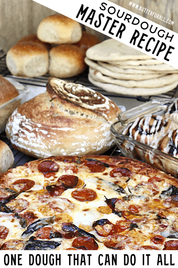 Sourdough buns, pita, loaf, boule, cinnamon rolls, and a pizza all displayed on a table. 