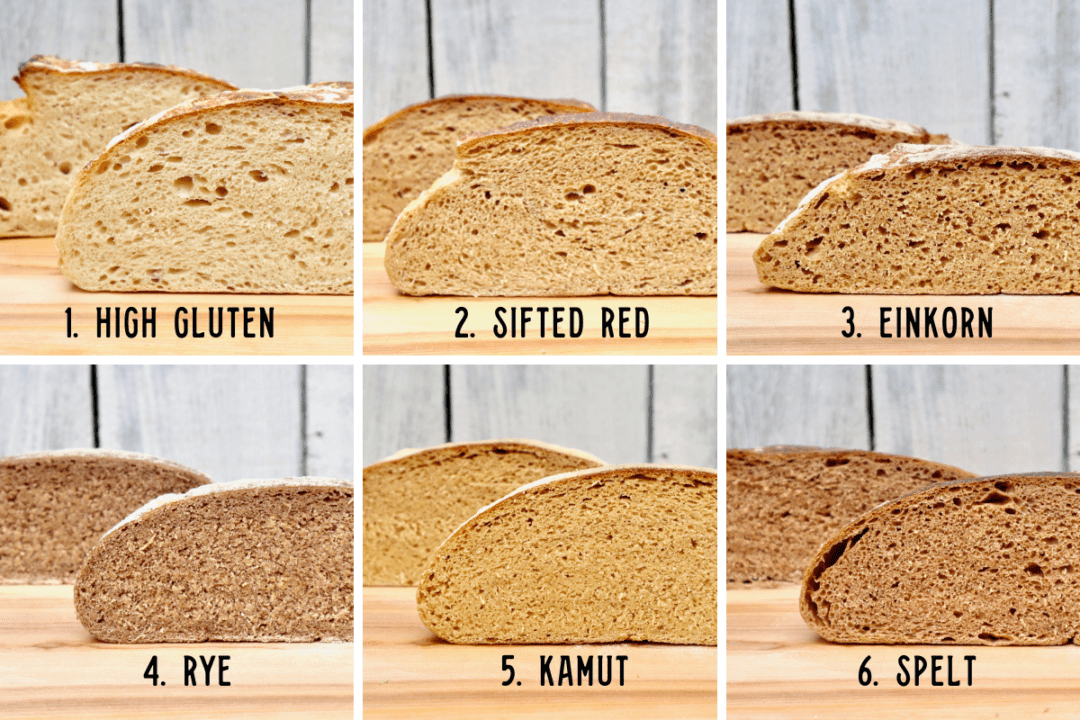 Butter For All's Sourdough Master Recipe • Butter For All