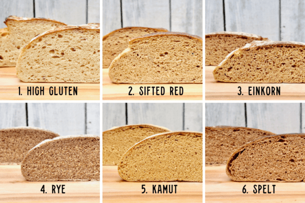 Side-by-side comparison of six different bread crumbs. 