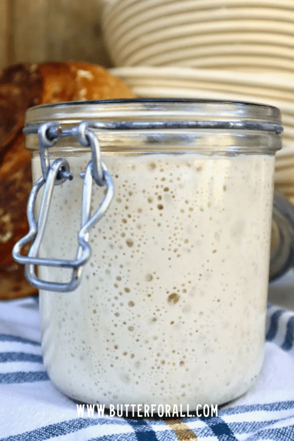 Very bubbly 5-day-old starter in a large glass jar.