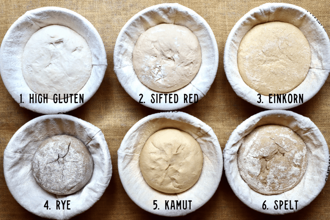 Butter For All's Sourdough Master Recipe • Butter For All