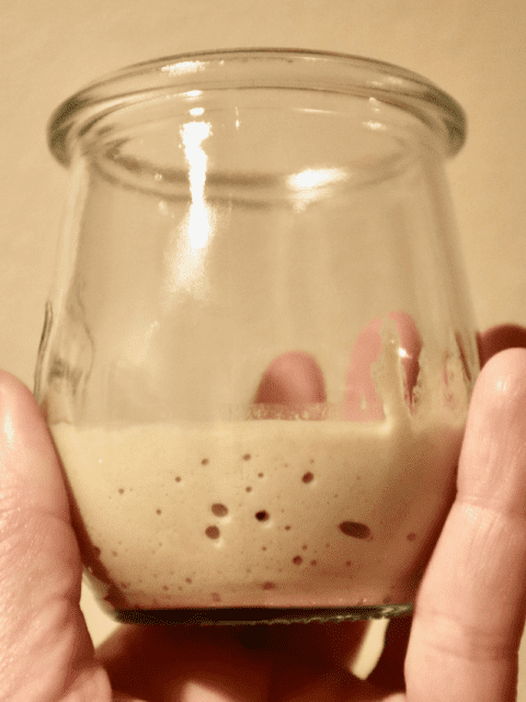 A small jar of starter with a few bubbles starting to form.