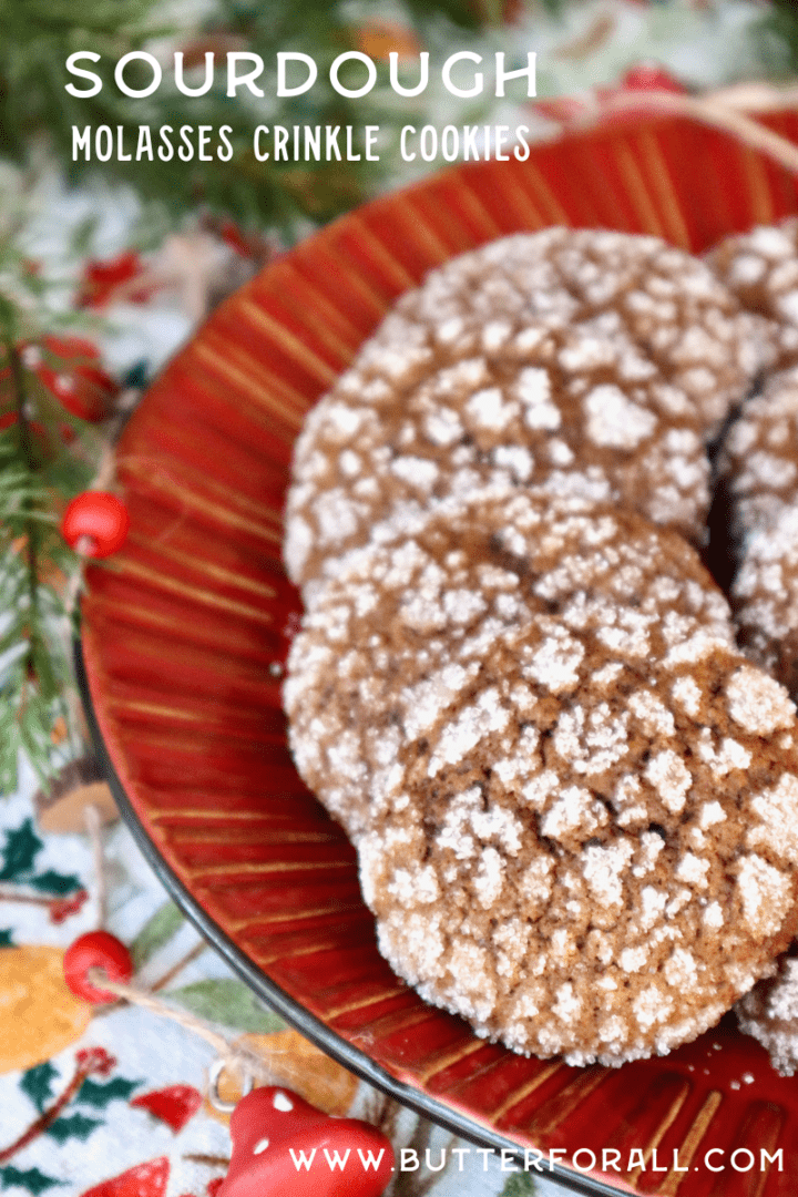 Sourdough Molasses Crinkle Cookies • Butter For All